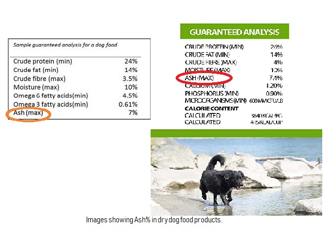 What is ash in dog food? 