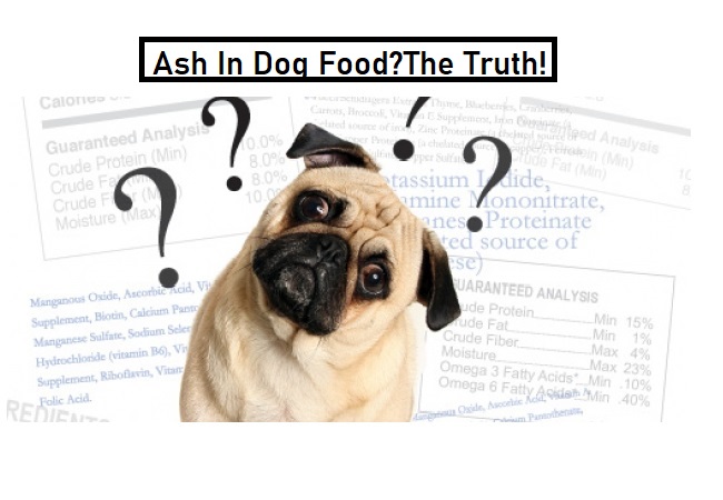 Why Is There Ash in Your Dog’s Food?