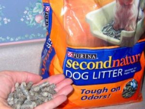 Purina SecondNature Dog Litter Discontinued | Find Alternatives