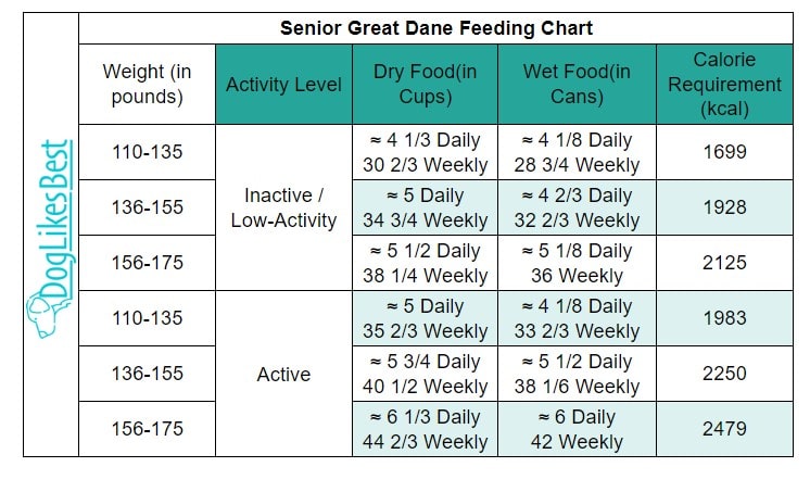 How Much to Feed A Great Dane - With Feeding Chart | DogLikesBest