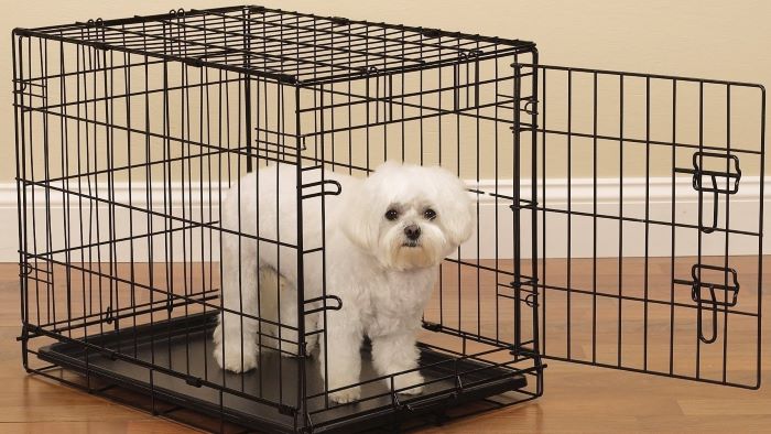 Dog Crate