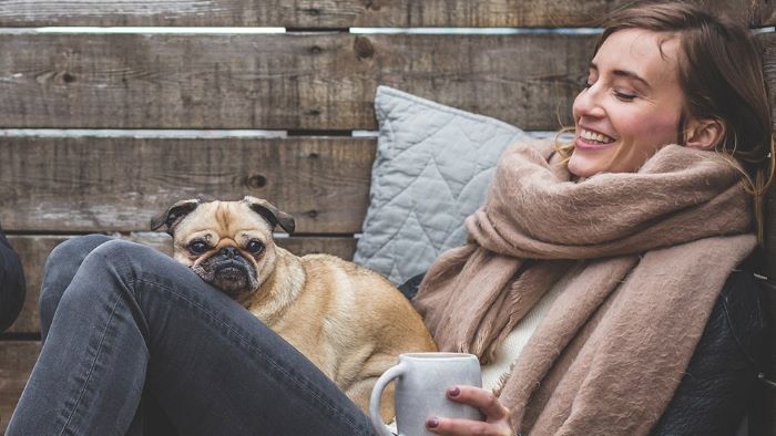 Why Do Dogs Sit On Your Lap The Science Behind This Behavior 